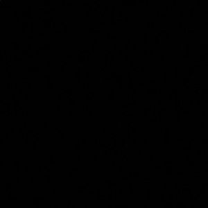 Meet your Posher, Zoe